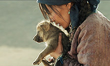 Le dernier loup