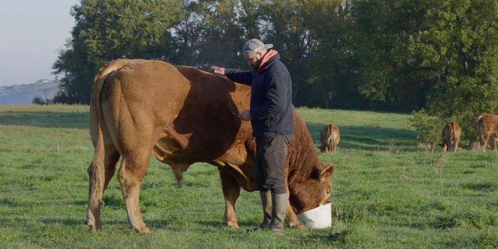 0c410c9f2d25735e7cc3f72a79c16686