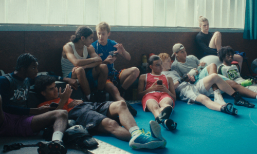 La danse des renards