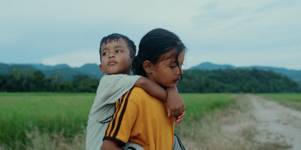 les fleurs du manguier