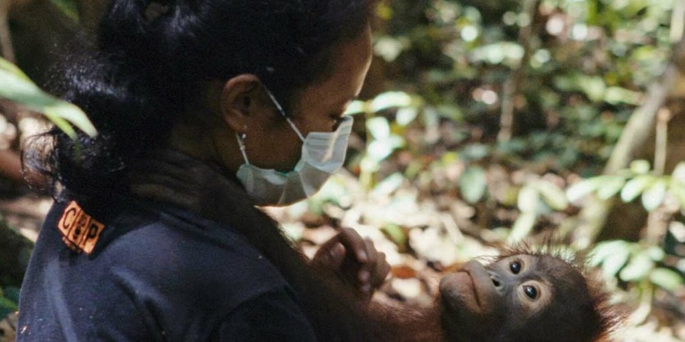 popi ou l'état sauvage